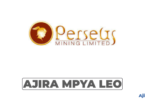 Inventory Accountant at Perseus Mining Tanzania – September 2026