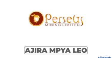 Inventory Accountant at Perseus Mining Tanzania – September 2026