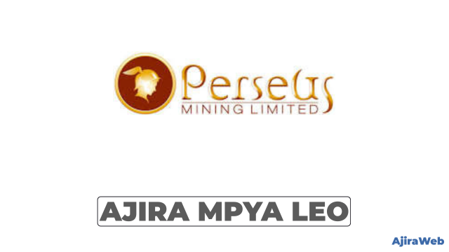 Inventory Accountant at Perseus Mining Tanzania – September 2026