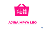 Little More Tanzania Vacancies 2026