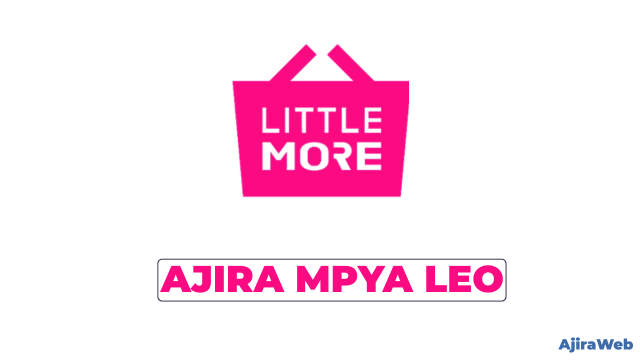 Little More Tanzania Vacancies 2026