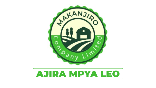 Makanjiro Company Job Vacancies 2026