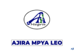 Megra Polyclinic Vacancy 2026