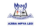 Mwalimu Nyerere Memorial Academy (MNMA) Vacancies August 2026