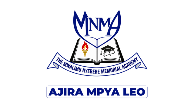 Mwalimu Nyerere Memorial Academy (MNMA) Vacancies August 2026