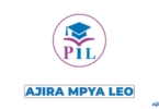 Paradigms Institute, Dar es Salaam Vacancies 2026