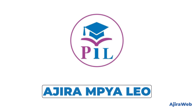Paradigms Institute, Dar es Salaam Vacancies 2026