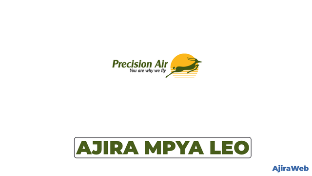 Precision Air Vacancy 2026 – Information Systems Manager