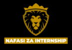 Procurement Intern at Argentum International August 2026
