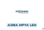 Procurement Officer Job Vacancy at M-Gas Resources Limited, Tanzania