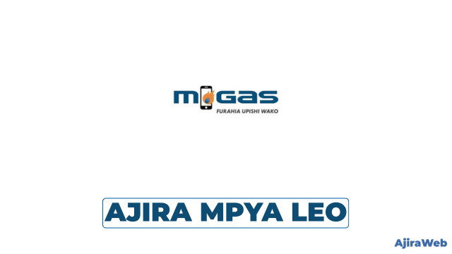 Procurement Officer Job Vacancy at M-Gas Resources Limited, Tanzania