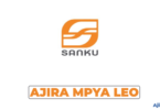 Procurement Specialist at Sanku, August 2026