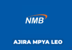 Relationship Manager; Parastatals at NMB Bank – August 2026