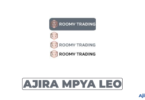Sales and Marketing Officer at Roomy Trading 2026