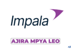 Security Supervisor at Impala Tanzania