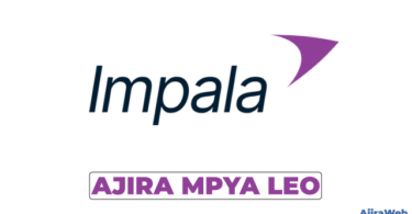 Security Supervisor at Impala Tanzania