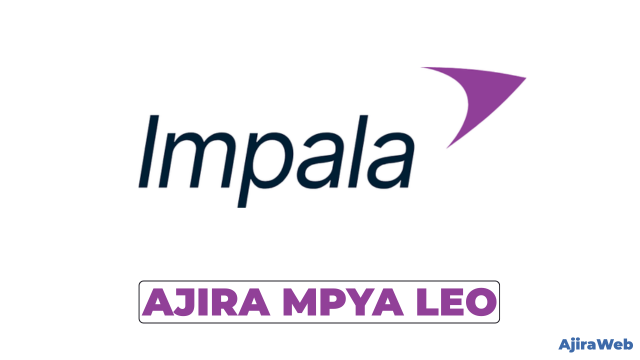 Security Supervisor at Impala Tanzania