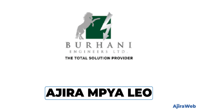 Senior Accountant Job Vacancy at Burhani Engineers Limited, Iringa – August 2026