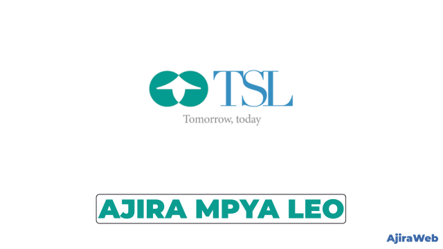 Senior Research & Advisory Associate at Tanzania Securities Limited (TSL)