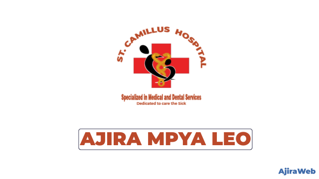 St. Camillus Hospital Accountant Vacancies 2026
