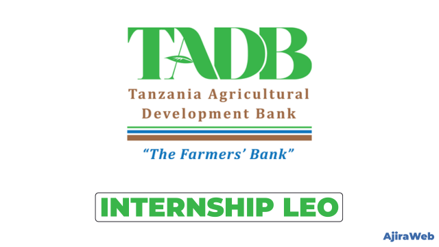 TADB Resource Mobilization Internship 2026