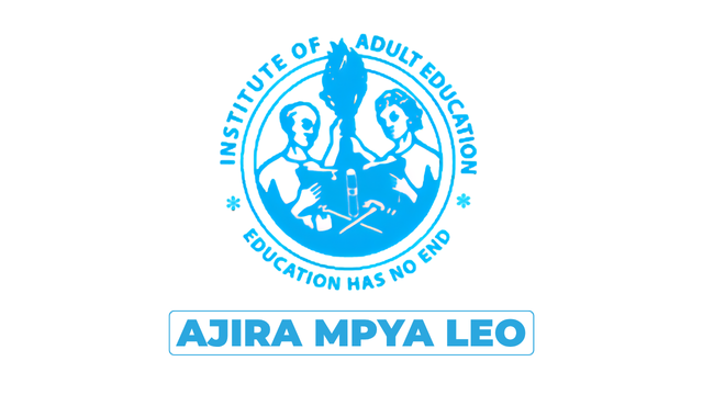 Taasisi ya Elimu ya Watu Wazima (IAE) Vacancies 2026