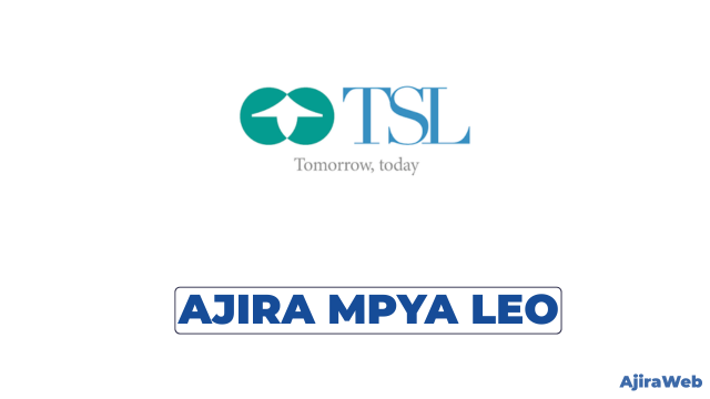 Tanzania Securities Limited (TSL) Vacancies 2026