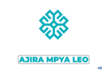 Turkish Maarif Foundation Accountant Vacancy 2026