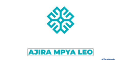 Turkish Maarif Foundation Accountant Vacancy 2026