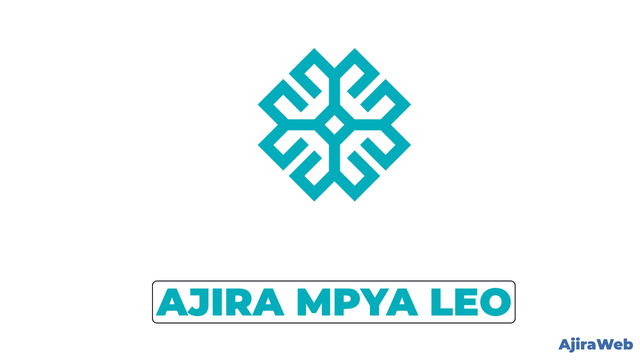 Turkish Maarif Foundation Accountant Vacancy 2026