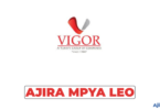 VIGOR Turky’s Group of Companies Hiring Internal Auditor