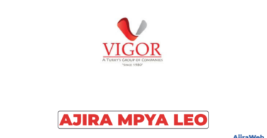 VIGOR Turky’s Group of Companies Hiring Internal Auditor