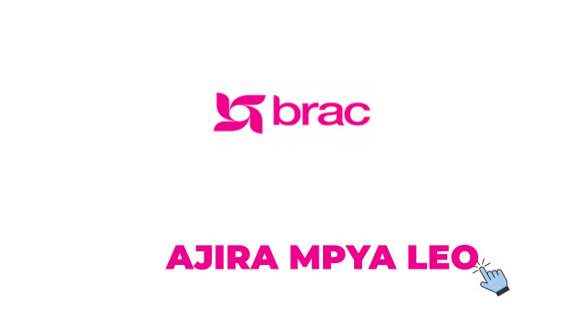 BRAC Tanzania Finance Limited Vacancies 2026