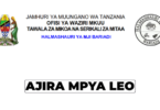 Bariadi Town Council Vacancy 2026