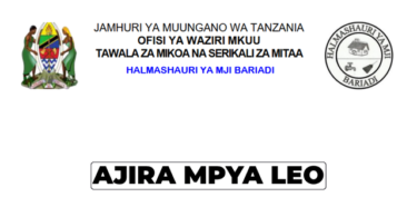Bariadi Town Council Vacancy 2026