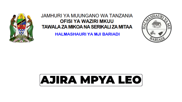 Bariadi Town Council Vacancy 2026