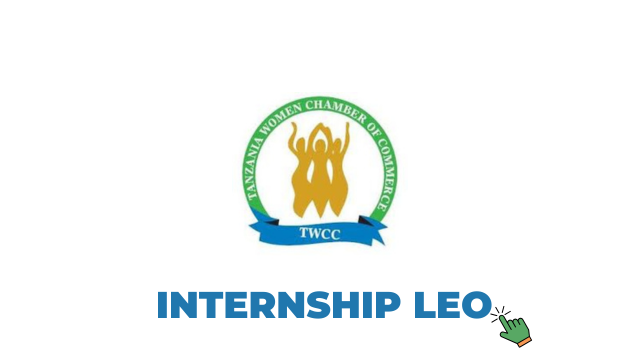 Business Development Officer Internship at Tanzania Women Chamber of Commerce (TWCC), Tanga
