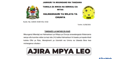 Chunya District Council Vacancies 2026 – 14 New Government Jobs