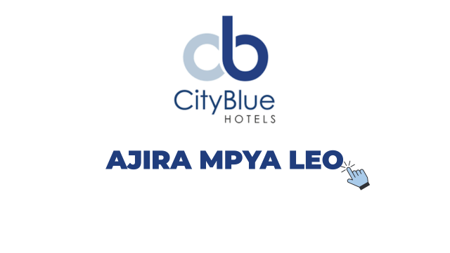 CityBlue Hotels HR Officer – Payroll Job Vacancy 2026