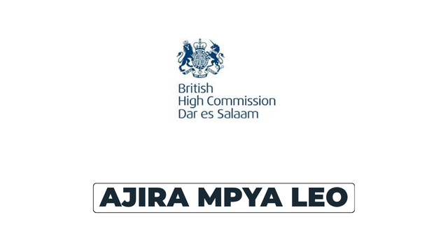 Climate Programme and Partnership Manager at British High Commission in Tanzania