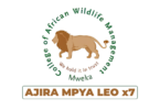 College of African Wildlife Management, Mweka (CAWM) Vacancies 2026