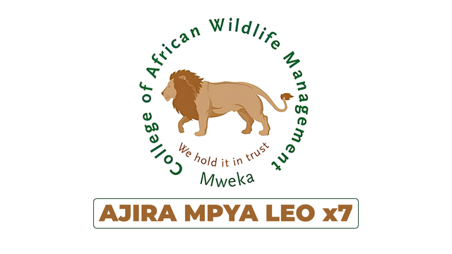 College of African Wildlife Management, Mweka (CAWM) Vacancies 2026