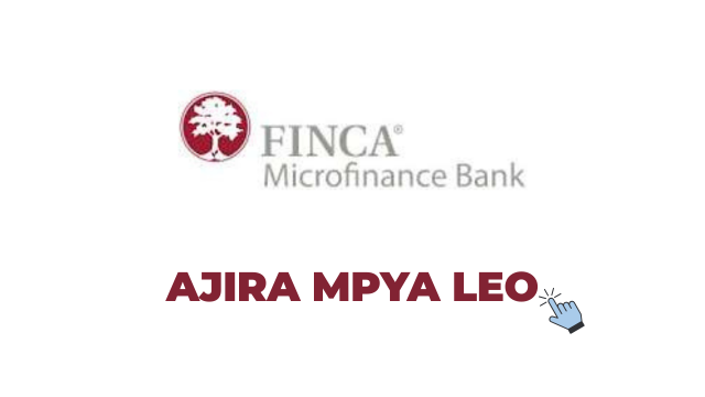 FINCA Microfinance Bank Tanzania Jobs 2026