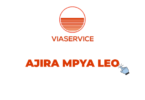 Finance Manager Job Vacancy at Viaservice Tanzania 2026