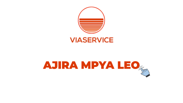 Finance Manager Job Vacancy at Viaservice Tanzania 2026