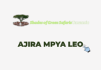 Human Resources & Administration Manager at Shades of Green Safaris 2026