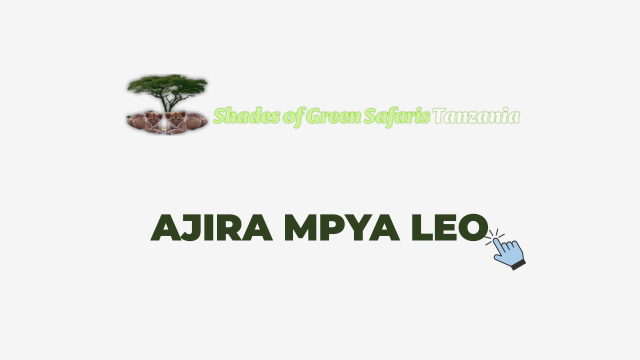 Human Resources & Administration Manager at Shades of Green Safaris 2026