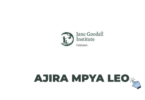 JGI Tanzania Vacancies 2026