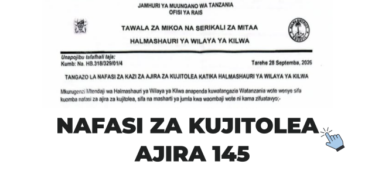 Kilwa District Council Volunteer Jobs 2026 – 145 Vacancies