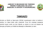 NCAA Volunteer Opportunities 2026: 36 Positions for Graduates and Young Tanzanians